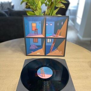 We were promised jetpacks, Enjoy the View Vinyl